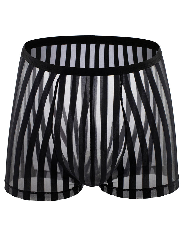 Men's Sheer Striped Mesh Boxer Briefs - Triniful